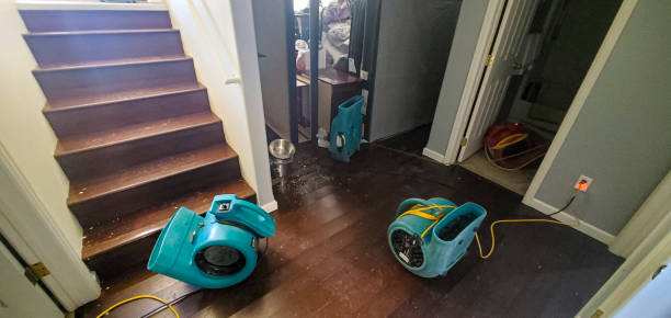 Best Carpet water damage restoration  in Glendora, CA