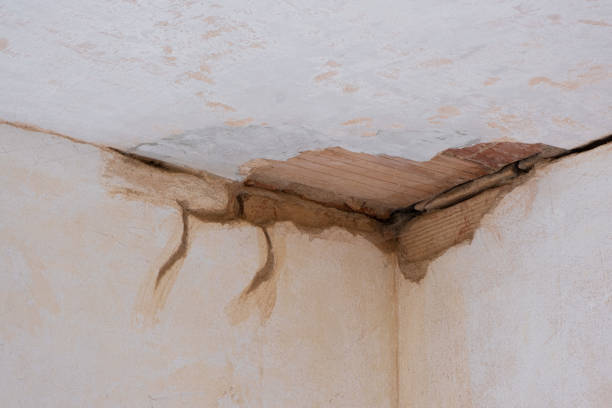 Best Water damage restoration insurance claims  in Glendora, CA