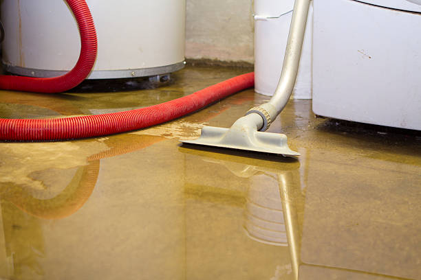 Best Ceiling water damage repair  in Glendora, CA