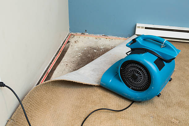 Best Fire Damage Restoration  in Glendora, CA